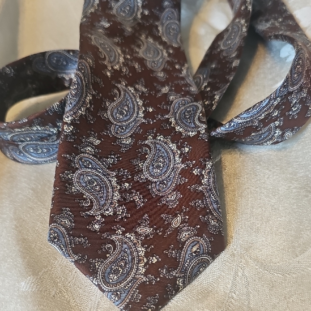 Elegant Brown and Blue Paisley Tie